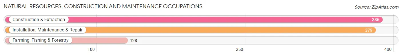 Natural Resources, Construction and Maintenance Occupations in Zip Code 35967