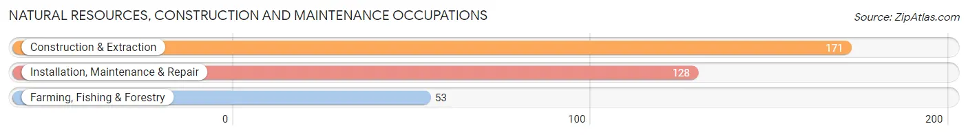 Natural Resources, Construction and Maintenance Occupations in Zip Code 35968