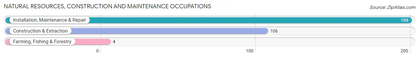 Natural Resources, Construction and Maintenance Occupations in Zip Code 35971