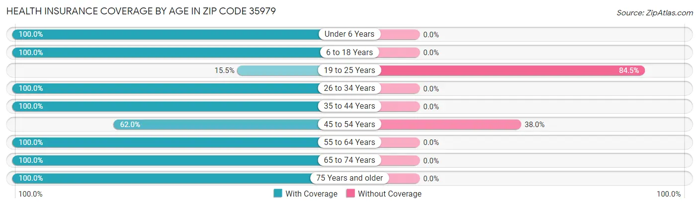 Health Insurance Coverage by Age in Zip Code 35979