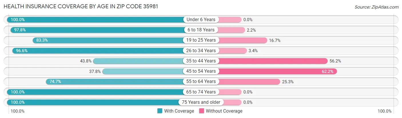 Health Insurance Coverage by Age in Zip Code 35981