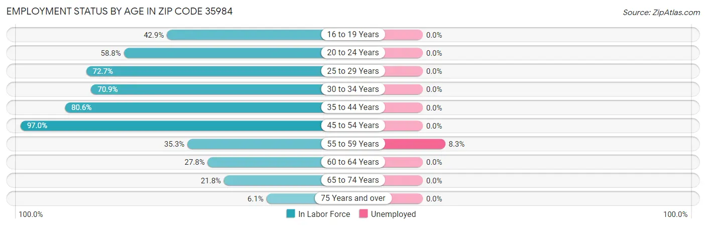 Employment Status by Age in Zip Code 35984
