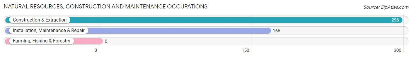 Natural Resources, Construction and Maintenance Occupations in Zip Code 35986