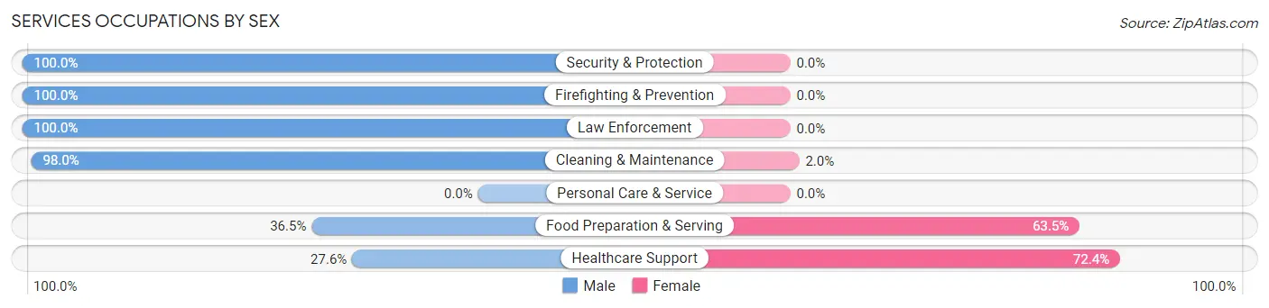 Services Occupations by Sex in Zip Code 35986