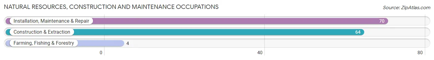 Natural Resources, Construction and Maintenance Occupations in Zip Code 36005