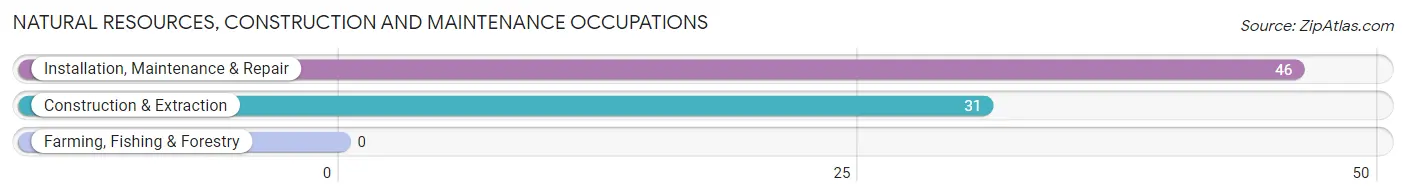 Natural Resources, Construction and Maintenance Occupations in Zip Code 36036