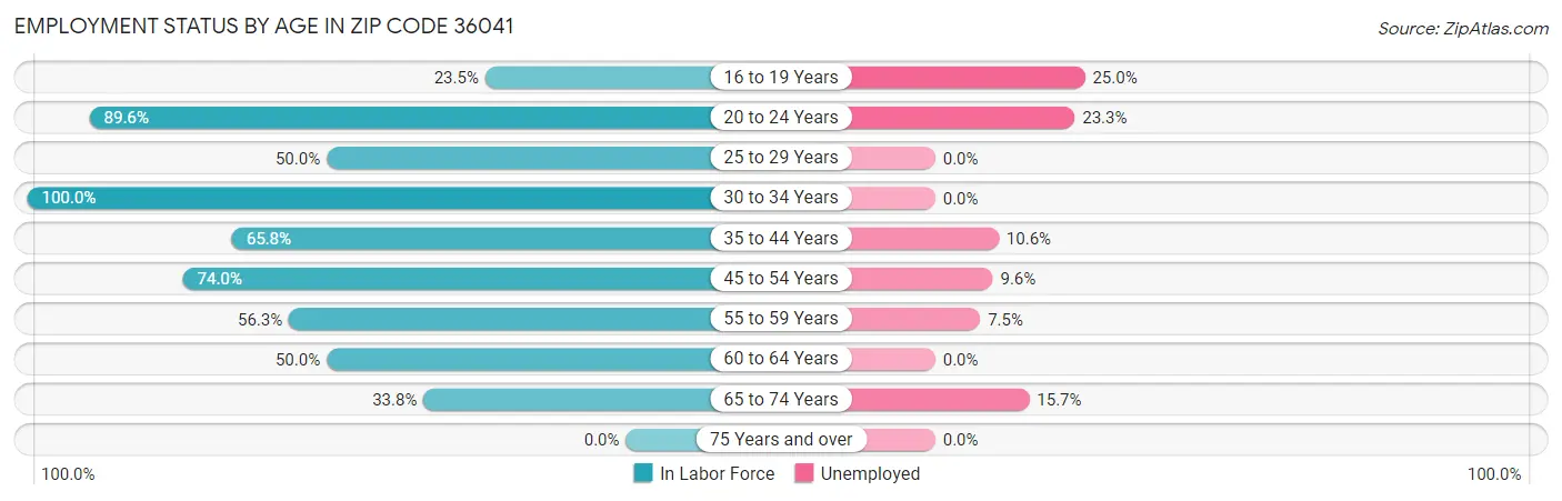 Employment Status by Age in Zip Code 36041