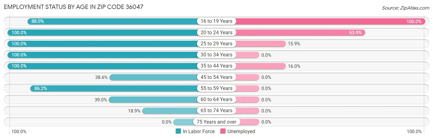 Employment Status by Age in Zip Code 36047