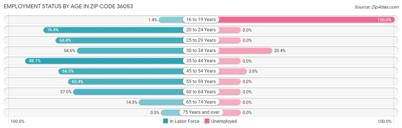Employment Status by Age in Zip Code 36053