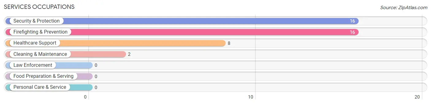 Services Occupations in Zip Code 36071