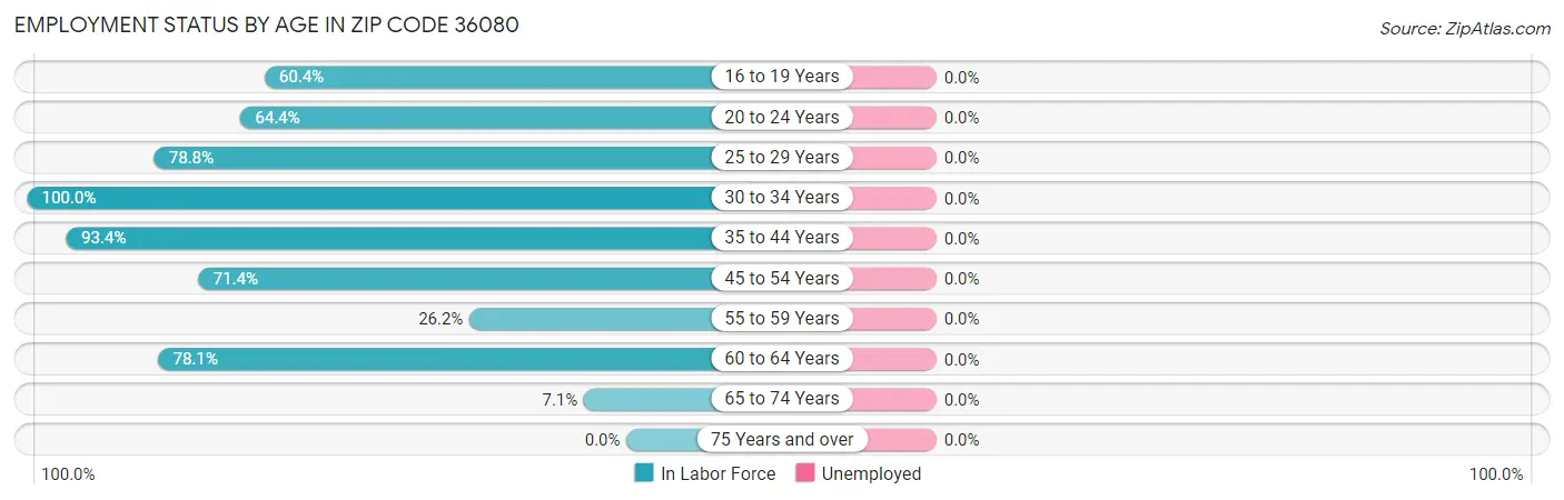 Employment Status by Age in Zip Code 36080