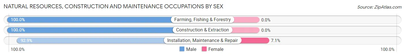 Natural Resources, Construction and Maintenance Occupations by Sex in Zip Code 36201