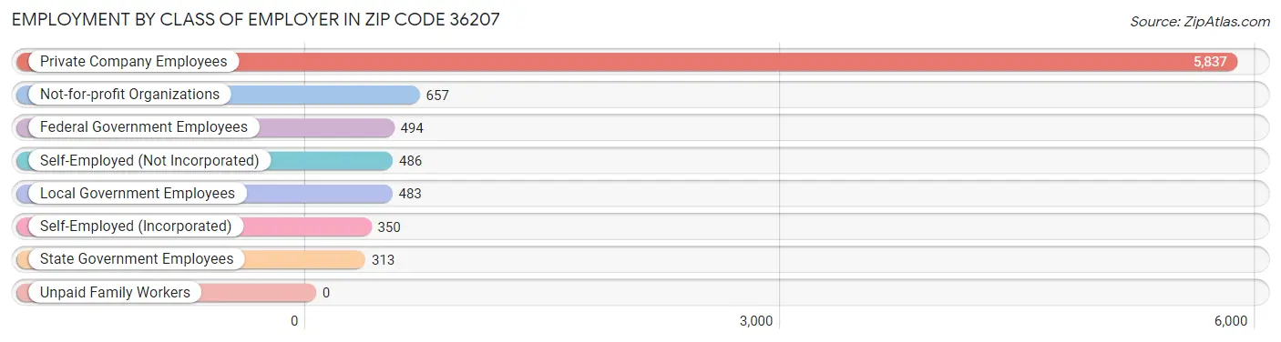 Employment by Class of Employer in Zip Code 36207