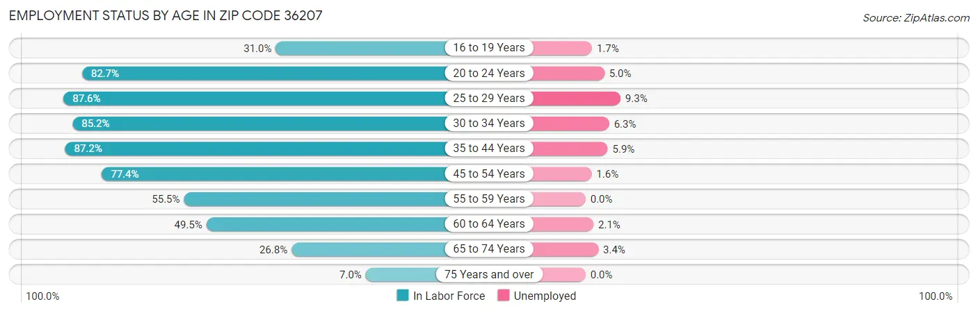 Employment Status by Age in Zip Code 36207