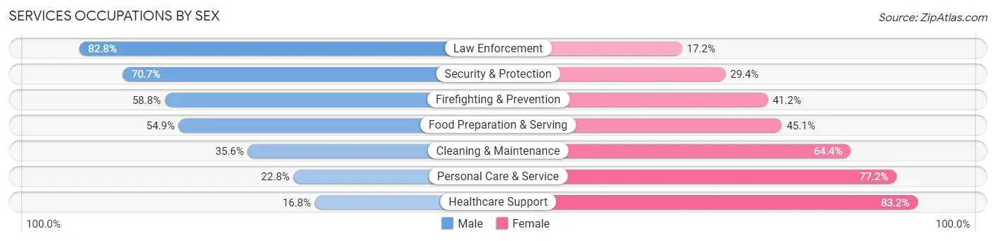 Services Occupations by Sex in Zip Code 36207