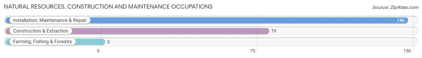 Natural Resources, Construction and Maintenance Occupations in Zip Code 36250