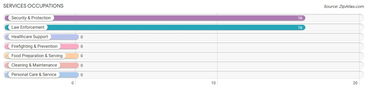 Services Occupations in Zip Code 36267