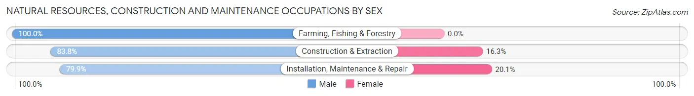 Natural Resources, Construction and Maintenance Occupations by Sex in Zip Code 36268