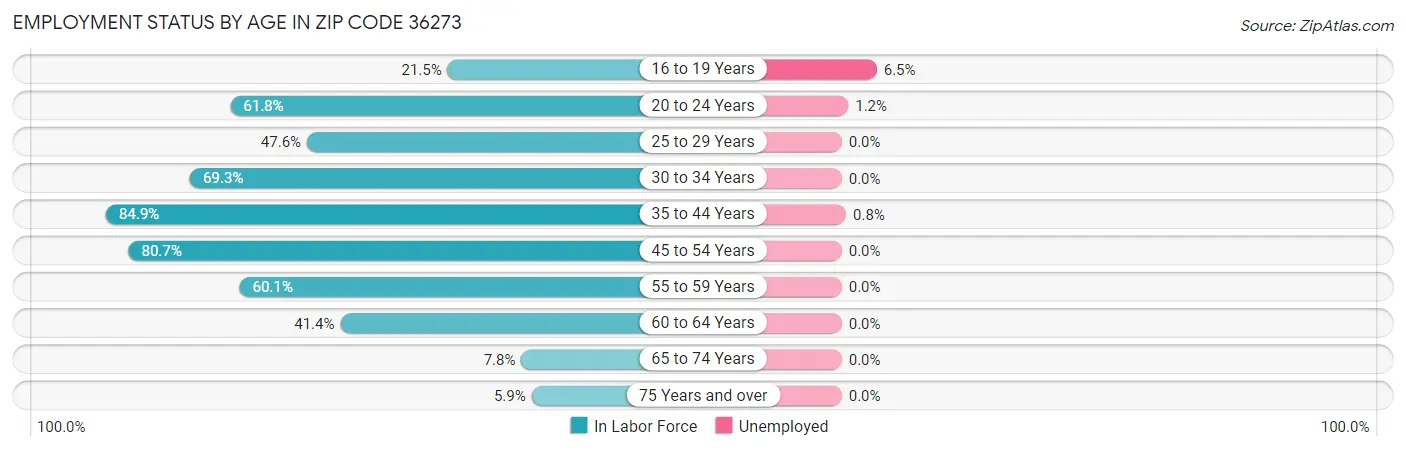 Employment Status by Age in Zip Code 36273