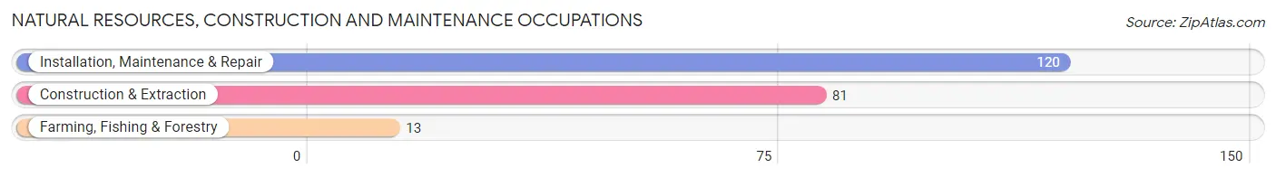 Natural Resources, Construction and Maintenance Occupations in Zip Code 36273