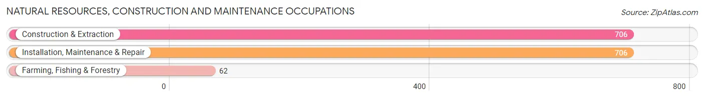 Natural Resources, Construction and Maintenance Occupations in Zip Code 36301