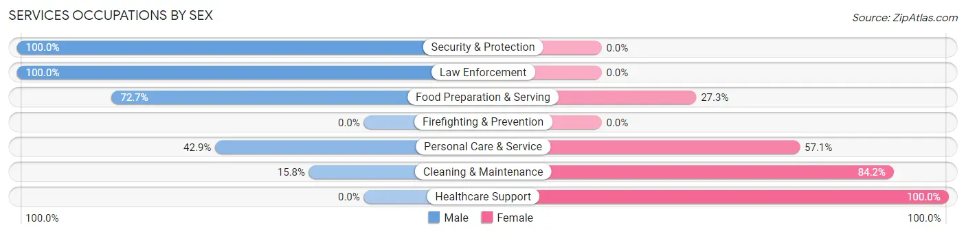 Services Occupations by Sex in Zip Code 36353
