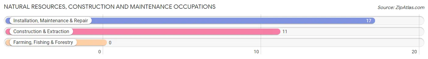 Natural Resources, Construction and Maintenance Occupations in Zip Code 36371