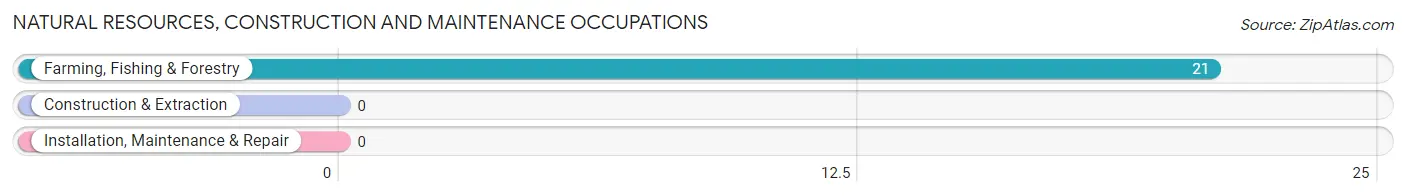 Natural Resources, Construction and Maintenance Occupations in Zip Code 36446