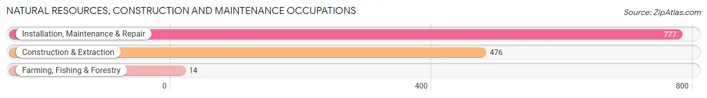 Natural Resources, Construction and Maintenance Occupations in Zip Code 36541