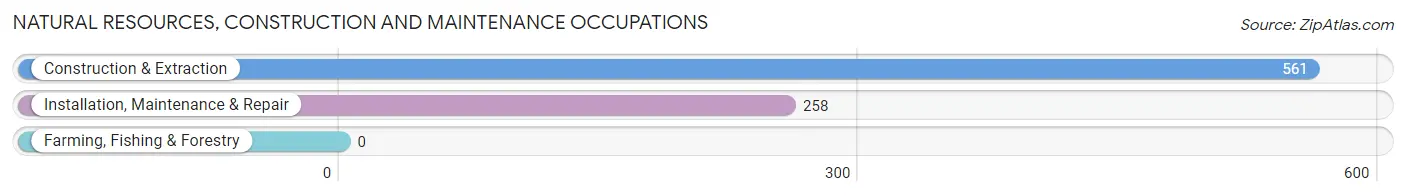 Natural Resources, Construction and Maintenance Occupations in Zip Code 36571