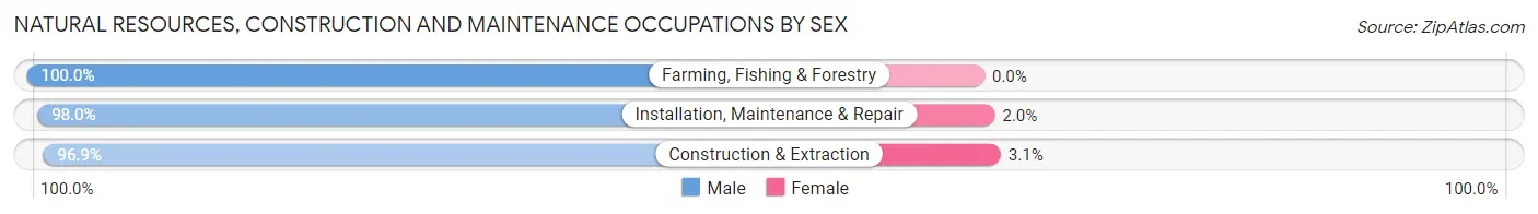Natural Resources, Construction and Maintenance Occupations by Sex in Zip Code 36580