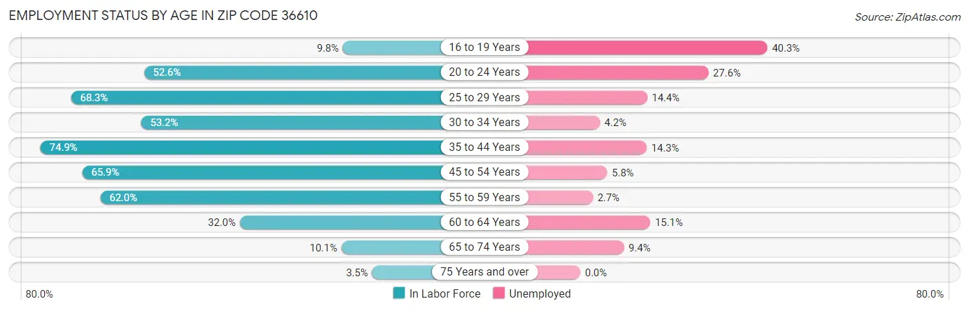 Employment Status by Age in Zip Code 36610