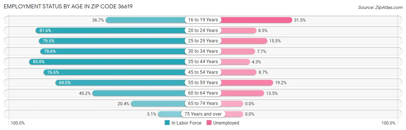 Employment Status by Age in Zip Code 36619