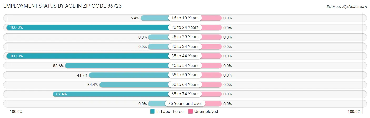 Employment Status by Age in Zip Code 36723