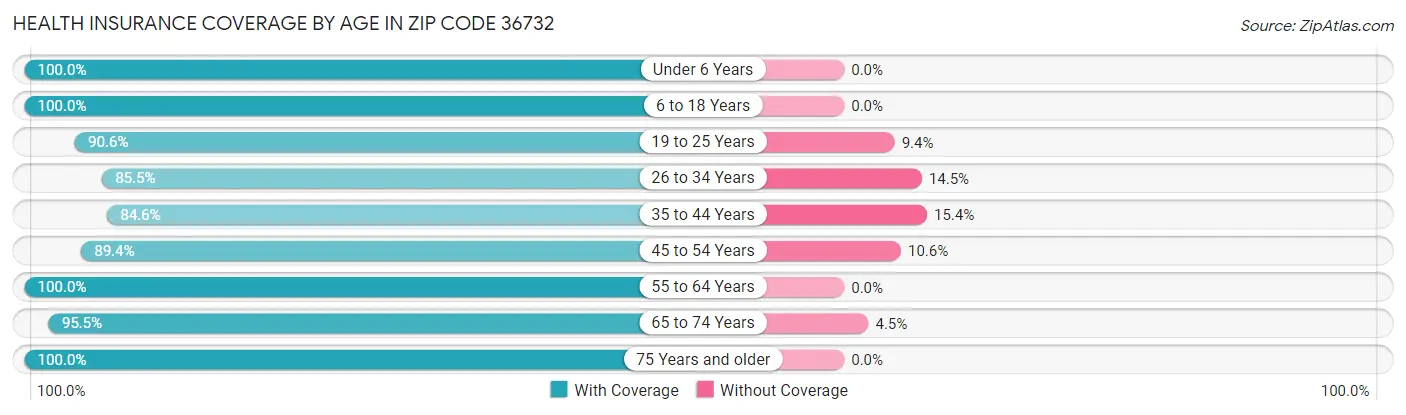 Health Insurance Coverage by Age in Zip Code 36732