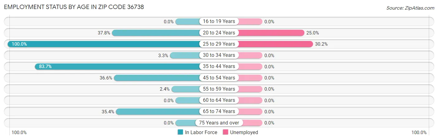 Employment Status by Age in Zip Code 36738