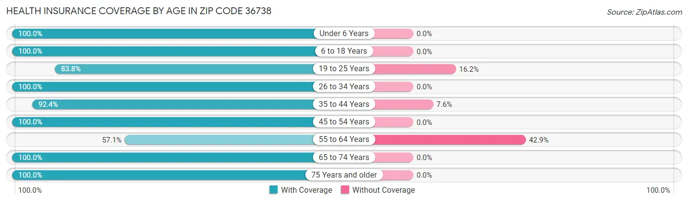 Health Insurance Coverage by Age in Zip Code 36738