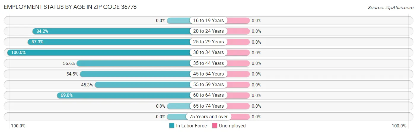 Employment Status by Age in Zip Code 36776