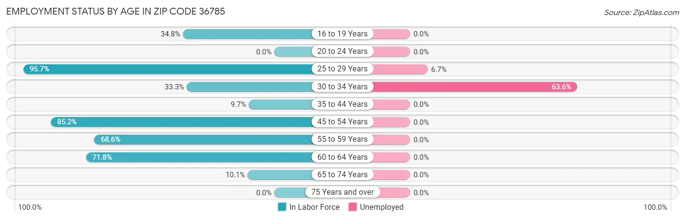 Employment Status by Age in Zip Code 36785