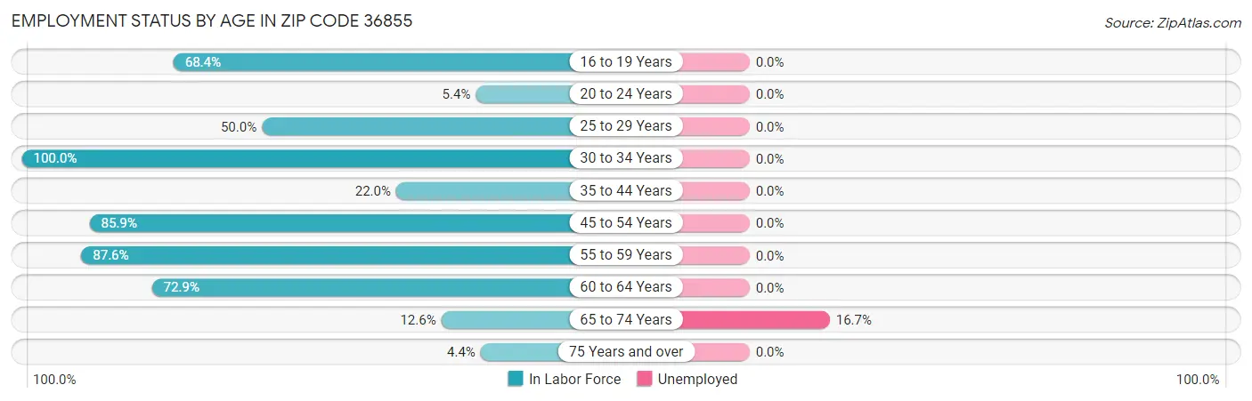 Employment Status by Age in Zip Code 36855