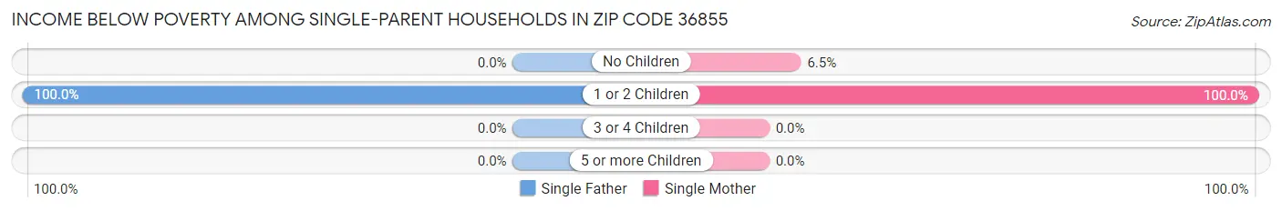 Income Below Poverty Among Single-Parent Households in Zip Code 36855