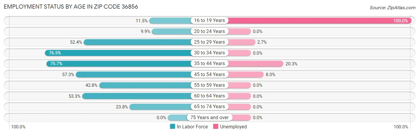 Employment Status by Age in Zip Code 36856