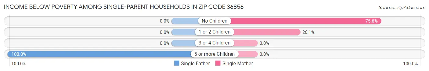 Income Below Poverty Among Single-Parent Households in Zip Code 36856