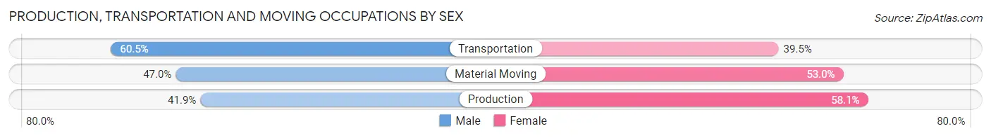 Production, Transportation and Moving Occupations by Sex in Zip Code 36856