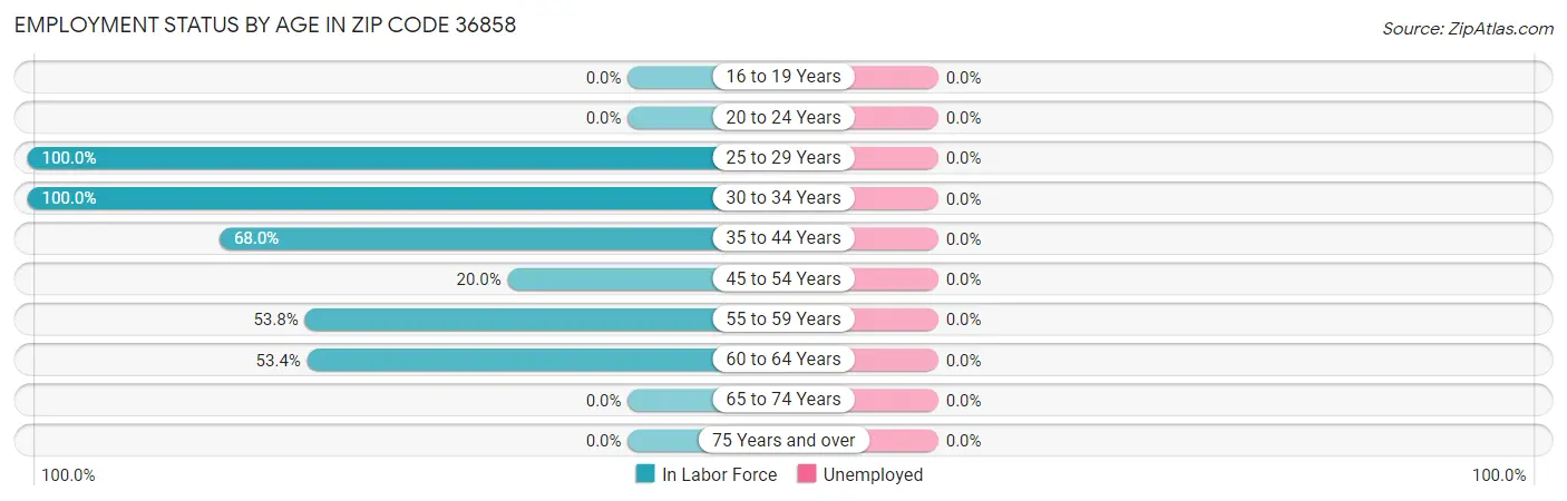 Employment Status by Age in Zip Code 36858