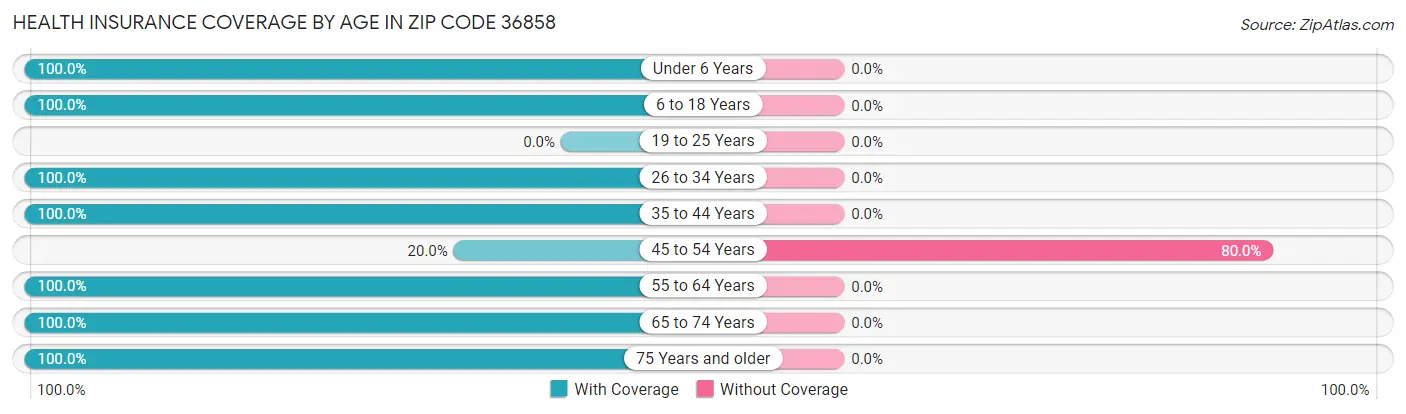 Health Insurance Coverage by Age in Zip Code 36858