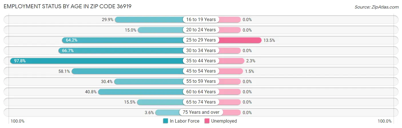Employment Status by Age in Zip Code 36919