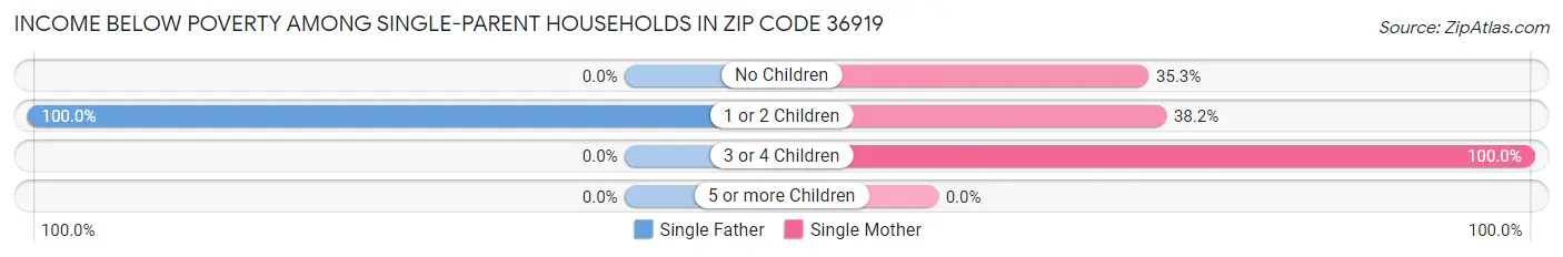 Income Below Poverty Among Single-Parent Households in Zip Code 36919