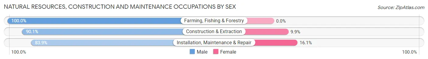 Natural Resources, Construction and Maintenance Occupations by Sex in Zip Code 37013
