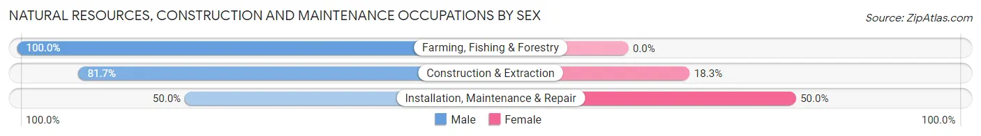 Natural Resources, Construction and Maintenance Occupations by Sex in Zip Code 37022